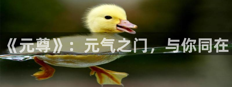 禁漫天堂免费下载网站