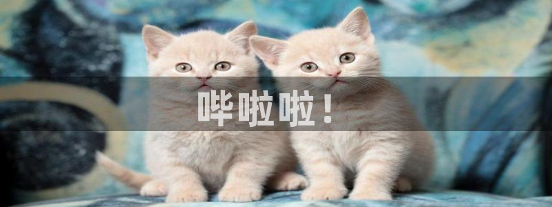 禁漫天堂在线进入
