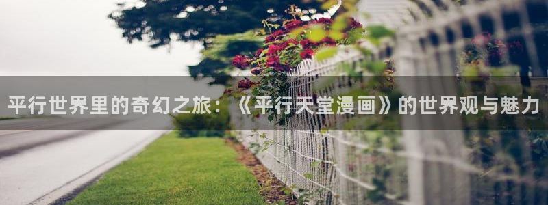 acfan禁漫天堂：平行世界里的奇幻之旅：《平行天堂漫画》的世界观与魅力
