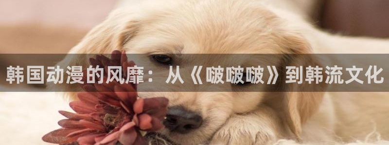 禁漫天堂为什么进不了