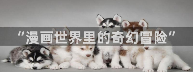 禁漫天堂网站