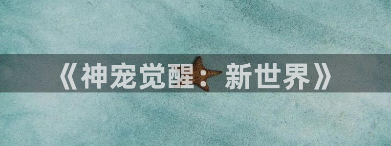 天堂禁漫官网
