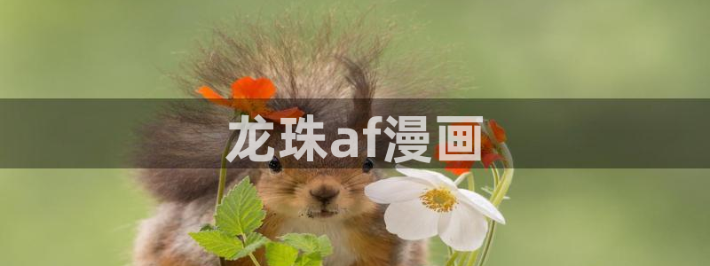 免费a漫 禁漫天堂