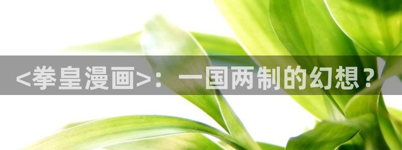 禁漫天堂用什么加速器