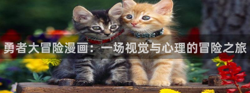 51禁漫网站