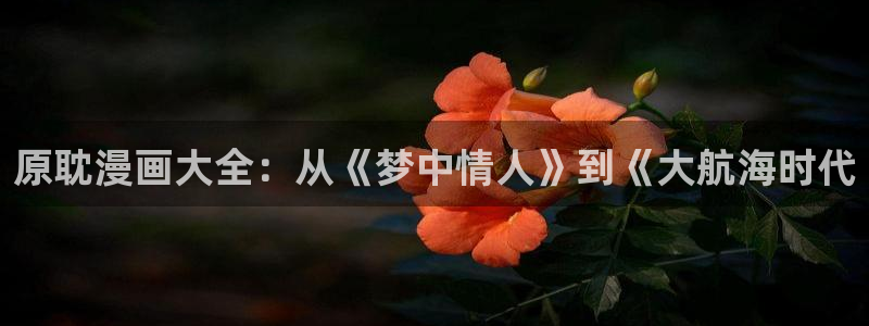 免费a漫 - 禁漫天堂