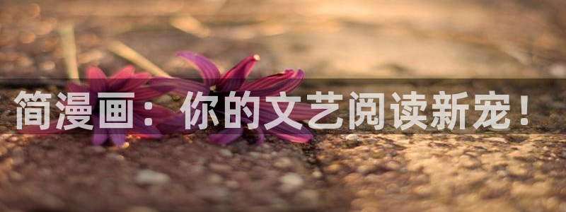 禁漫天堂为什么看不了动漫