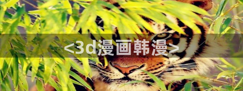 禁漫天堂最新网