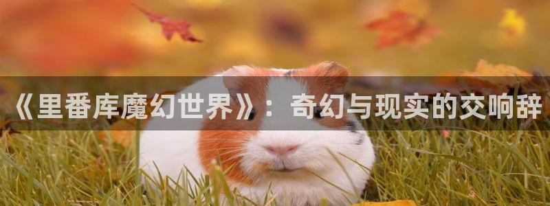 新禁漫天堂
