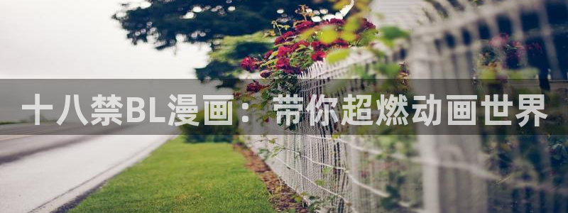 天堂禁漫app下载