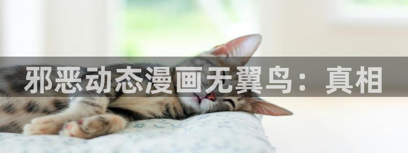 禁漫天堂最新官方入口地址