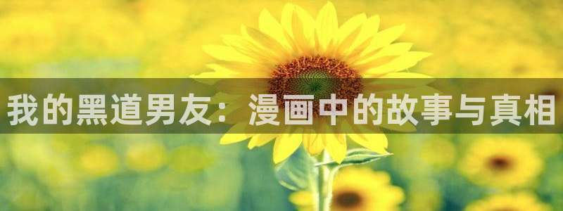 禁漫天堂图：我的黑道男友：漫画中的故事与真相