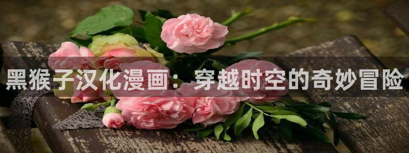禁漫天堂a漫网页版：黑猴子汉化漫画：穿越时空的奇妙冒险