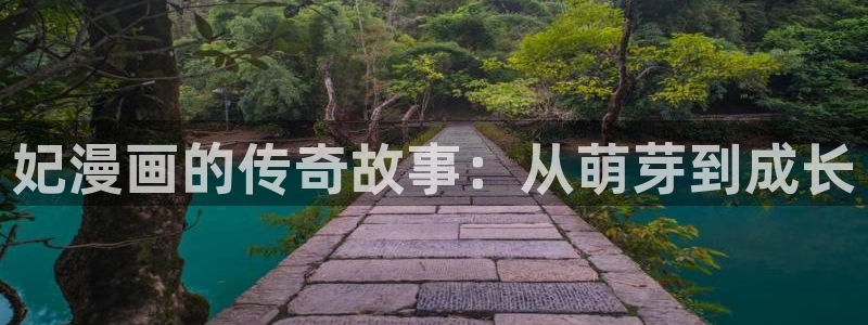 禁漫画天堂下载：妃漫画的传奇故事：从萌芽到成长