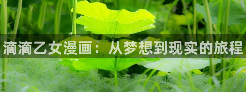 黄色禁漫天堂：滴滴乙女漫画：从梦想到现实的旅程