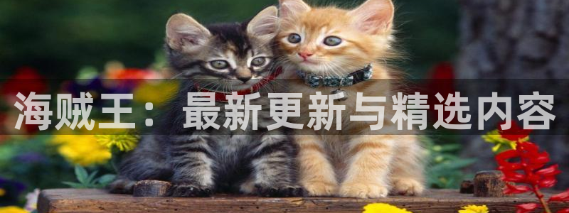 禁漫18禁：海贼王：最新更新与精选内容