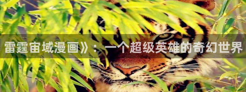 禁漫天堂在线网址：雷霆宙域漫画》：一个超级英雄的奇幻世界
