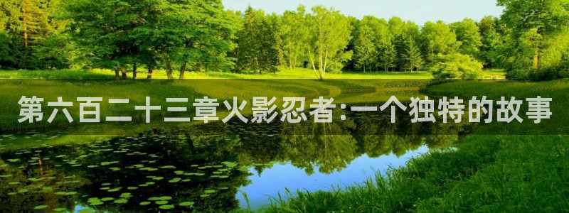 禁漫天堂网业：第六百二十三章火影忍者:一个独特的故事