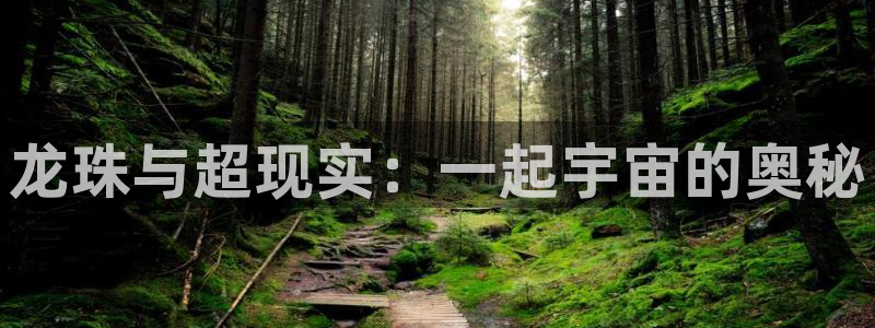 禁漫天堂看不了：龙珠与超现实：一起宇宙的奥秘