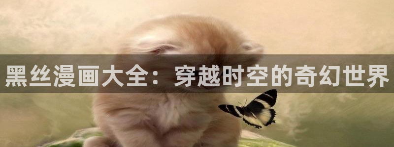 jmc禁漫天堂：黑丝漫画大全：穿越时空的奇幻世界